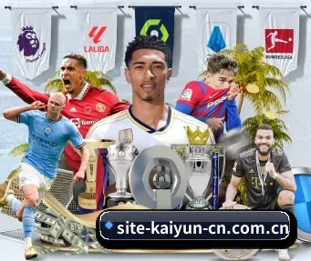 开云体育登录 APP